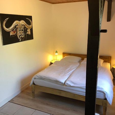 Villa Orcas Léon 외부 사진